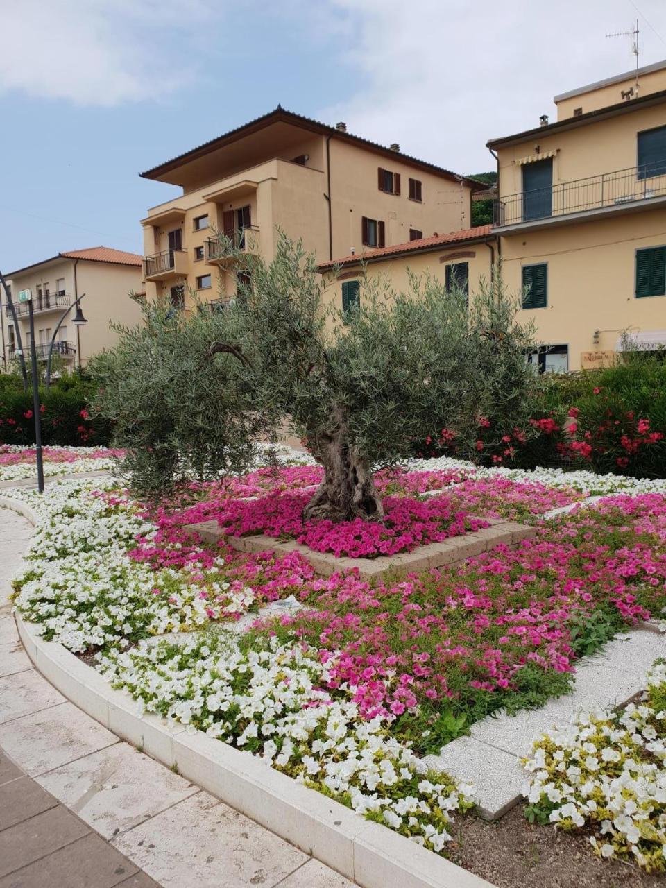 Hotel Lucerna Castiglione della Pescaia Exterior photo
